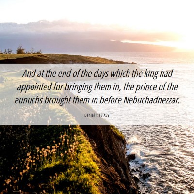 Picture 06 - Daniel 1:18 ASV - And at the end of the days which the king had - Bible Verse Picture