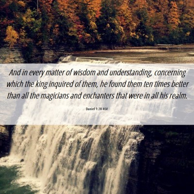 Picture 06 - Daniel 1:20 ASV - And in every matter of wisdom and understanding, - Bible Verse Picture