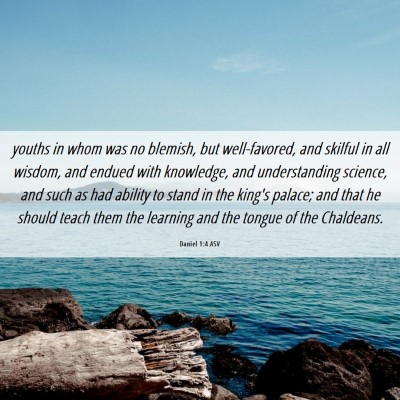 Picture 06 - Daniel 1:4 ASV - youths in whom was no blemish, but well-favored, - Bible Verse Picture