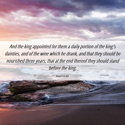 Picture 06 - Daniel 1:5 ASV - And the king appointed for them a daily portion - Bible Verse Picture