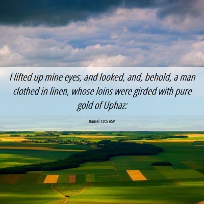Picture 06 - Daniel 10:5 ASV - I lifted up mine eyes, and looked, and, behold, a - Bible Verse Picture