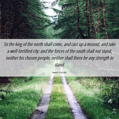 Picture 06 - Daniel 11:15 ASV - So the king of the north shall come, and cast up - Bible Verse Picture
