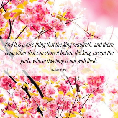 Picture 06 - Daniel 2:11 ASV - And it is a rare thing that the king requireth, - Bible Verse Picture