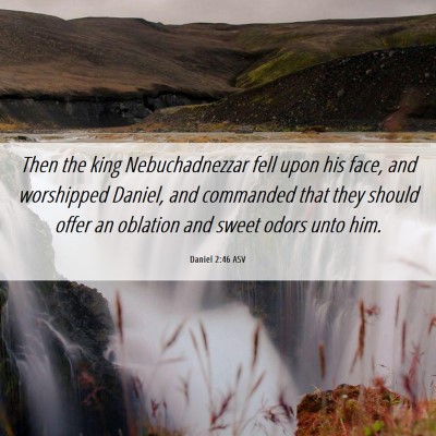 Picture 06 - Daniel 2:46 ASV - Then the king Nebuchadnezzar fell upon his face, - Bible Verse Picture