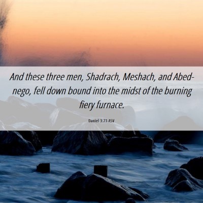 Picture 06 - Daniel 3:23 ASV - And these three men, Shadrach, Meshach, and - Bible Verse Picture