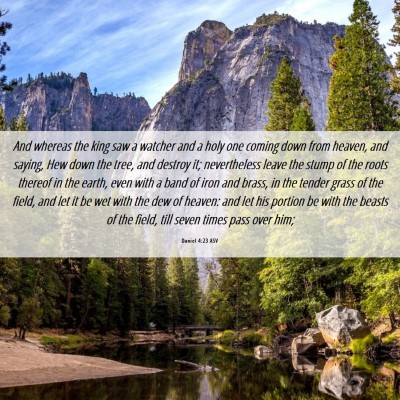 Picture 06 - Daniel 4:23 ASV - And whereas the king saw a watcher and a holy one - Bible Verse Picture