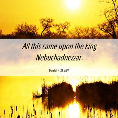 Picture 06 - Daniel 4:28 ASV - All this came upon the king - Bible Verse Picture