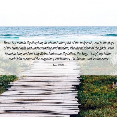 Picture 06 - Daniel 5:11 ASV - There is a man in thy kingdom, in whom is the - Bible Verse Picture
