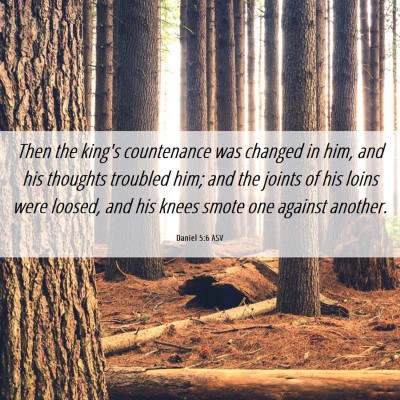 Picture 06 - Daniel 5:6 ASV - Then the king's countenance was changed in him, - Bible Verse Picture