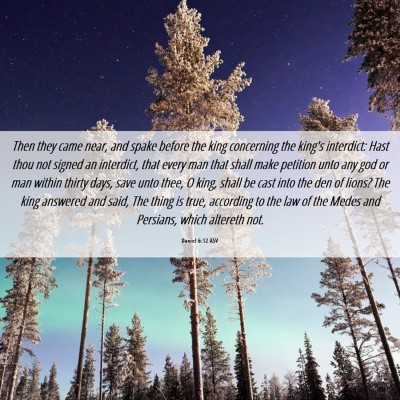 Picture 06 - Daniel 6:12 ASV - Then they came near, and spake before the king - Bible Verse Picture