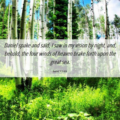 Picture 06 - Daniel 7:2 ASV - Daniel spake and said, I saw in my vision by - Bible Verse Picture
