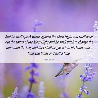 Picture 06 - Daniel 7:25 ASV - And he shall speak words against the Most High, - Bible Verse Picture