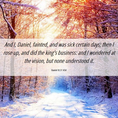 Picture 06 - Daniel 8:27 ASV - And I, Daniel, fainted, and was sick certain - Bible Verse Picture