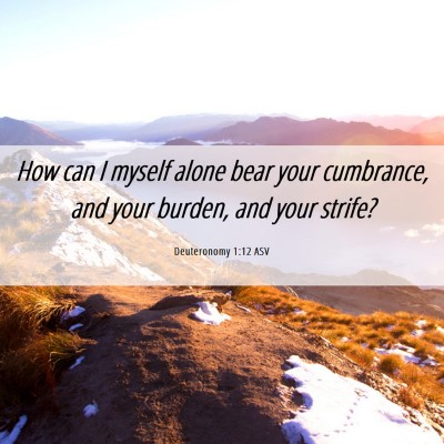 Picture 06 - Deuteronomy 1:12 ASV - How can I myself alone bear your cumbrance, and - Bible Verse Picture