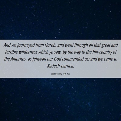 Picture 06 - Deuteronomy 1:19 ASV - And we journeyed from Horeb, and went through all - Bible Verse Picture