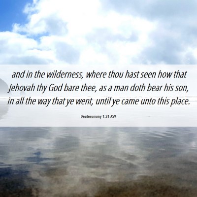 Picture 06 - Deuteronomy 1:31 ASV - and in the wilderness, where thou hast seen how - Bible Verse Picture