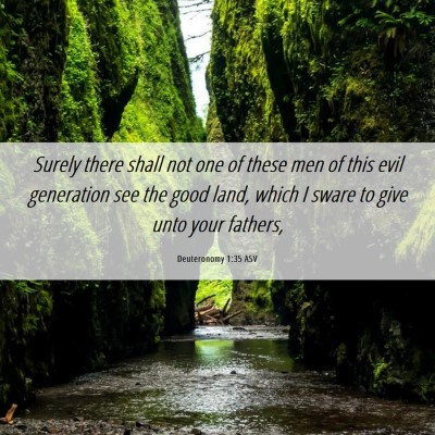 Picture 06 - Deuteronomy 1:35 ASV - Surely there shall not one of these men of this - Bible Verse Picture