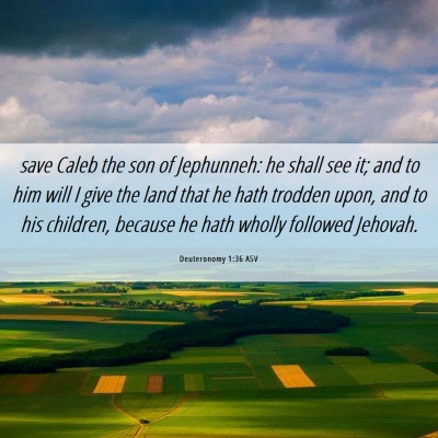 Picture 06 - Deuteronomy 1:36 ASV - save Caleb the son of Jephunneh: he shall see it; - Bible Verse Picture