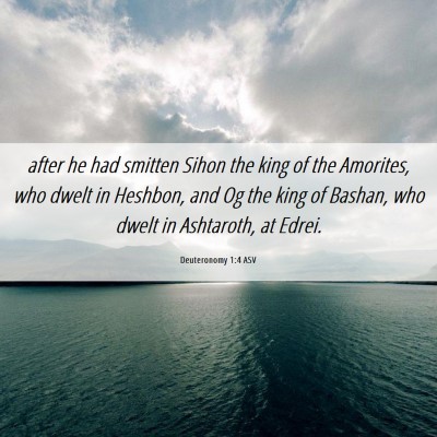 Picture 06 - Deuteronomy 1:4 ASV - after he had smitten Sihon the king of the - Bible Verse Picture