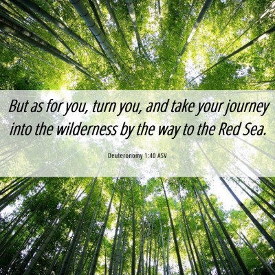Picture 06 - Deuteronomy 1:40 ASV - But as for you, turn you, and take your journey - Bible Verse Picture