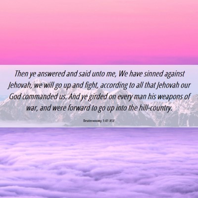 Picture 06 - Deuteronomy 1:41 ASV - Then ye answered and said unto me, We have sinned - Bible Verse Picture