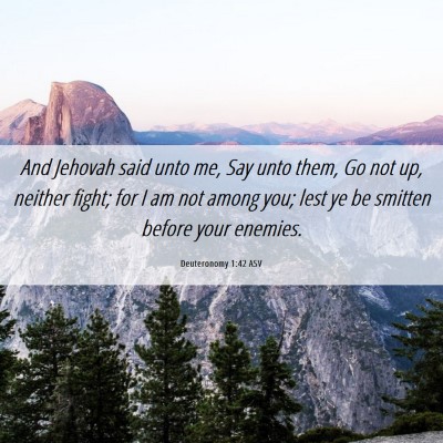 Picture 06 - Deuteronomy 1:42 ASV - And Jehovah said unto me, Say unto them, Go not - Bible Verse Picture