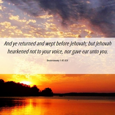 Picture 06 - Deuteronomy 1:45 ASV - And ye returned and wept before Jehovah; but - Bible Verse Picture