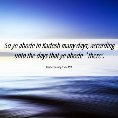 Picture 06 - Deuteronomy 1:46 ASV - So ye abode in Kadesh many days, according unto - Bible Verse Picture