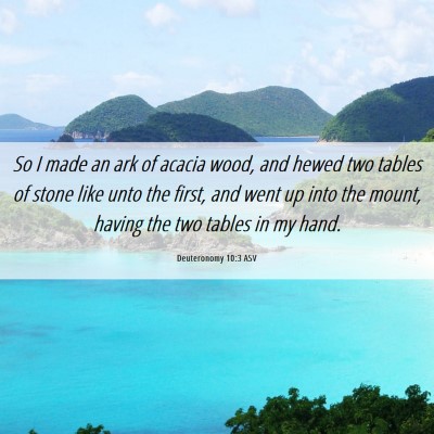 Picture 06 - Deuteronomy 10:3 ASV - So I made an ark of acacia wood, and hewed two - Bible Verse Picture