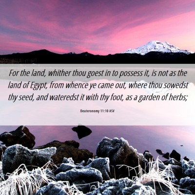 Picture 06 - Deuteronomy 11:10 ASV - For the land, whither thou goest in to possess - Bible Verse Picture