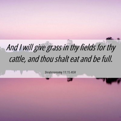 Picture 06 - Deuteronomy 11:15 ASV - And I will give grass in thy fields for thy - Bible Verse Picture