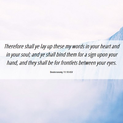 Picture 06 - Deuteronomy 11:18 ASV - Therefore shall ye lay up these my words in your - Bible Verse Picture