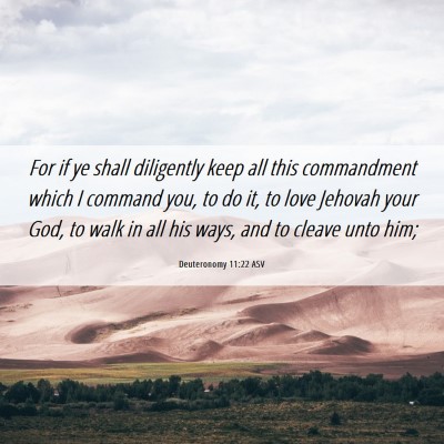 Picture 06 - Deuteronomy 11:22 ASV - For if ye shall diligently keep all this - Bible Verse Picture