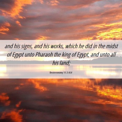 Picture 06 - Deuteronomy 11:3 ASV - and his signs, and his works, which he did in the - Bible Verse Picture