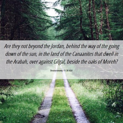 Picture 06 - Deuteronomy 11:30 ASV - Are they not beyond the Jordan, behind the way of - Bible Verse Picture