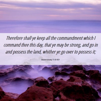 Picture 06 - Deuteronomy 11:8 ASV - Therefore shall ye keep all the commandment which - Bible Verse Picture