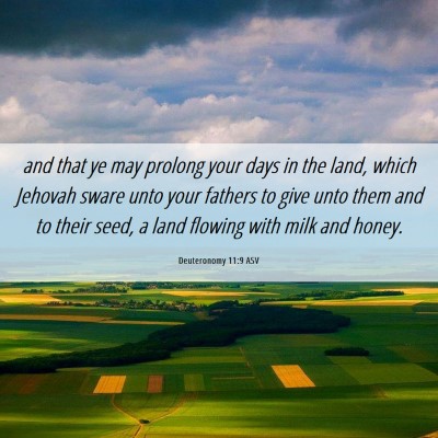 Picture 06 - Deuteronomy 11:9 ASV - and that ye may prolong your days in the land, - Bible Verse Picture