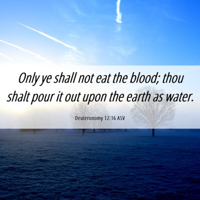 Picture 06 - Deuteronomy 12:16 ASV - Only ye shall not eat the blood; thou shalt pour - Bible Verse Picture