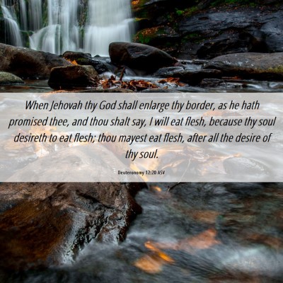 Picture 06 - Deuteronomy 12:20 ASV - When Jehovah thy God shall enlarge thy border, as - Bible Verse Picture