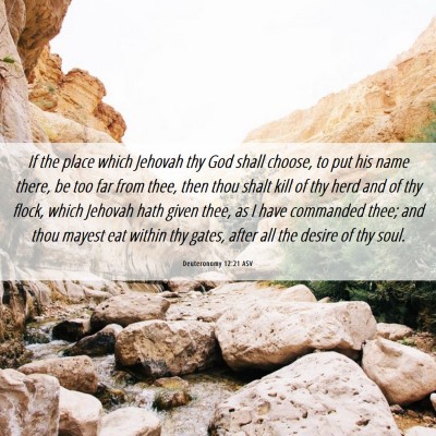 Picture 06 - Deuteronomy 12:21 ASV - If the place which Jehovah thy God shall choose, - Bible Verse Picture