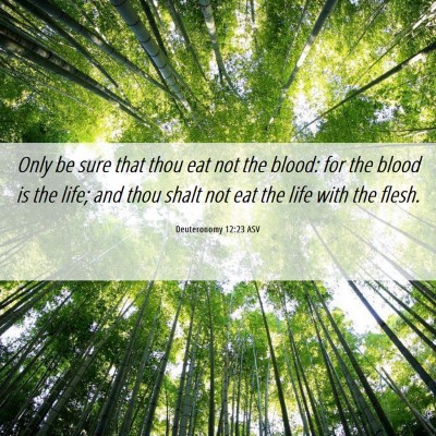 Picture 06 - Deuteronomy 12:23 ASV - Only be sure that thou eat not the blood: for the - Bible Verse Picture