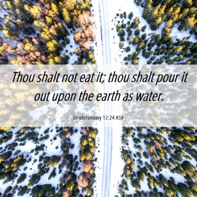 Picture 06 - Deuteronomy 12:24 ASV - Thou shalt not eat it; thou shalt pour it out - Bible Verse Picture