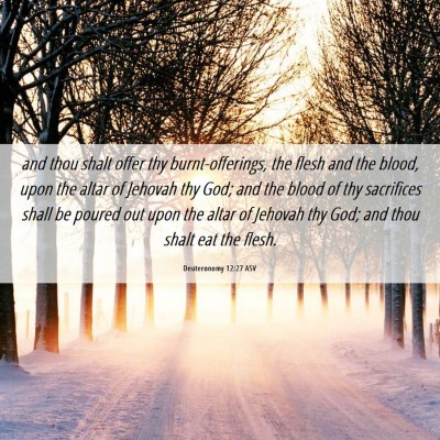 Picture 06 - Deuteronomy 12:27 ASV - and thou shalt offer thy burnt-offerings, the - Bible Verse Picture