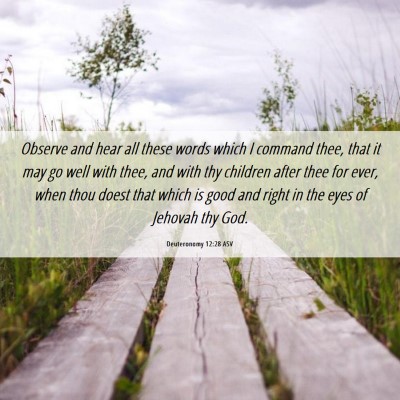 Picture 06 - Deuteronomy 12:28 ASV - Observe and hear all these words which I command - Bible Verse Picture
