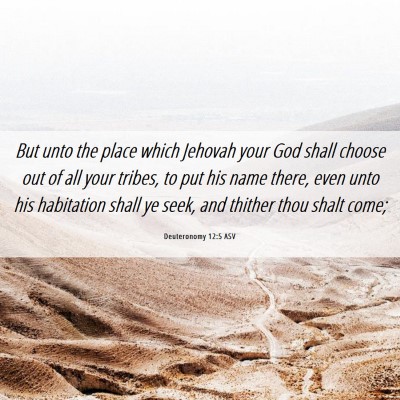 Picture 06 - Deuteronomy 12:5 ASV - But unto the place which Jehovah your God shall - Bible Verse Picture