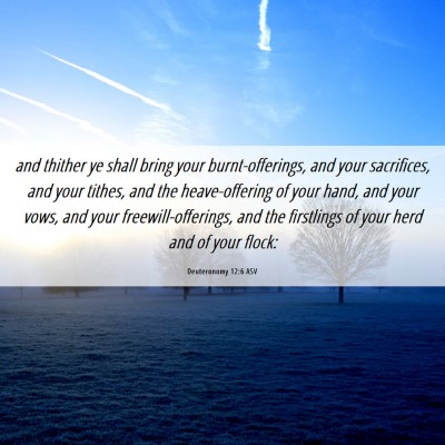 Picture 06 - Deuteronomy 12:6 ASV - and thither ye shall bring your burnt-offerings, - Bible Verse Picture