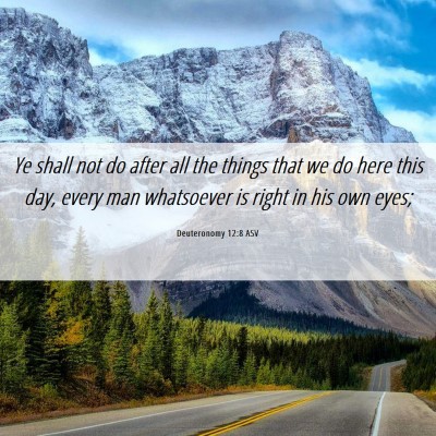 Picture 06 - Deuteronomy 12:8 ASV - Ye shall not do after all the things that we do - Bible Verse Picture
