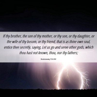 Picture 06 - Deuteronomy 13:6 ASV - If thy brother, the son of thy mother, or thy - Bible Verse Picture