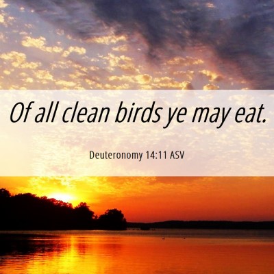 Picture 06 - Deuteronomy 14:11 ASV - Of all clean birds ye may - Bible Verse Picture
