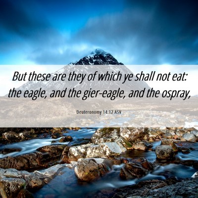 Picture 06 - Deuteronomy 14:12 ASV - But these are they of which ye shall not eat: the - Bible Verse Picture
